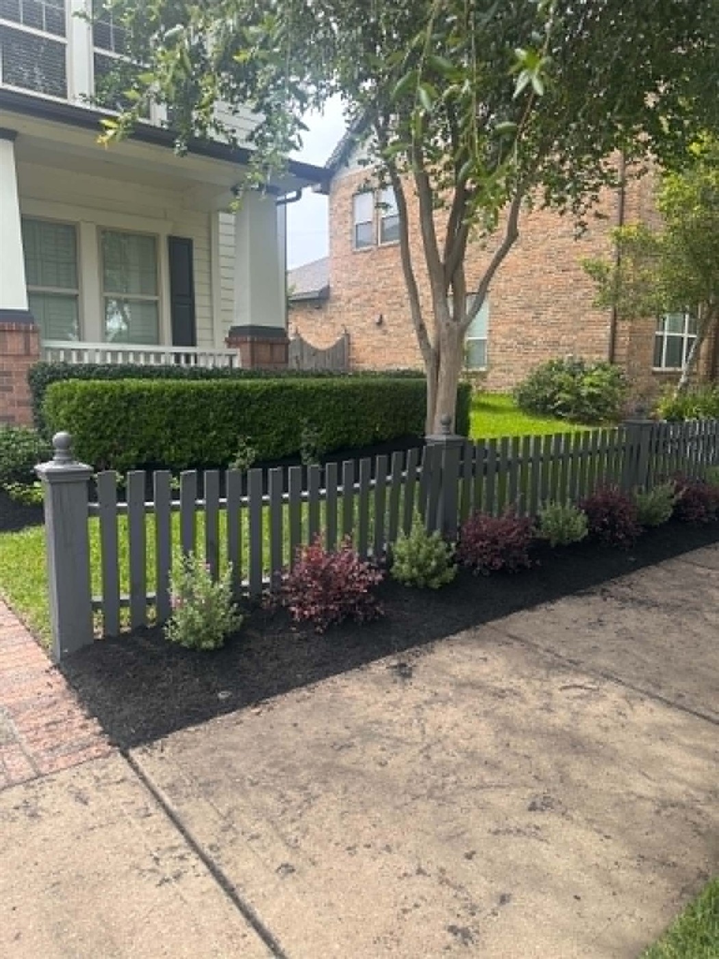 New shrubs planted with fresh mulch along a fence by Arvo Landscapes, Cypress TX