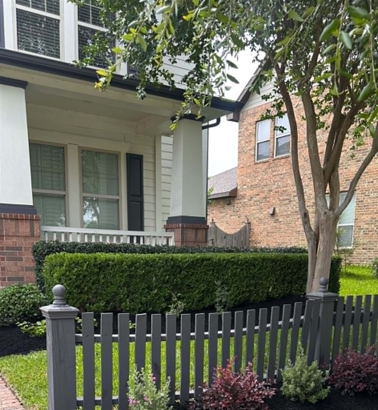 Trimmed hedges