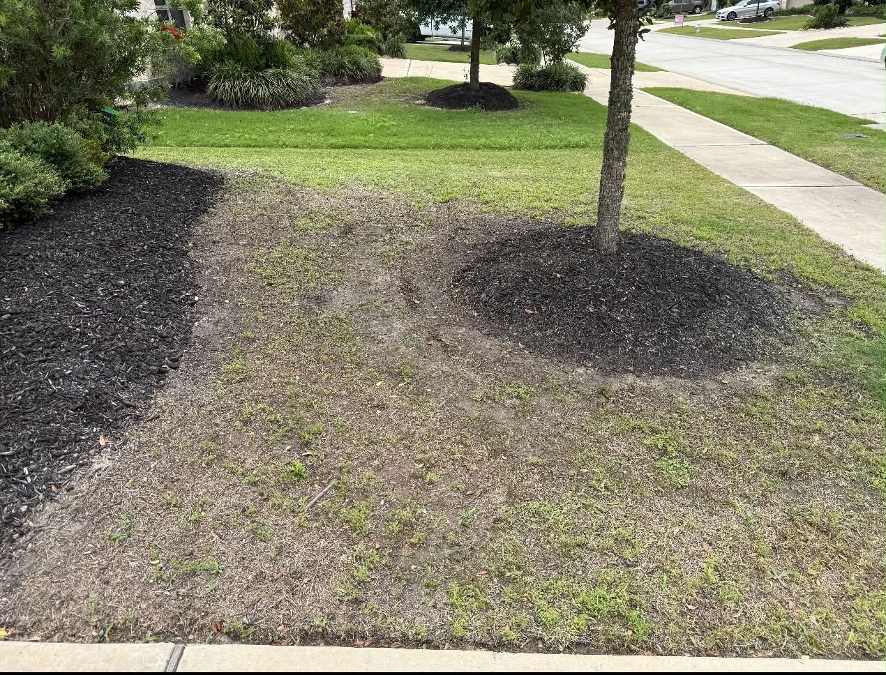 Front lawn before new sod by Arvo Landscapes, Cypress TX