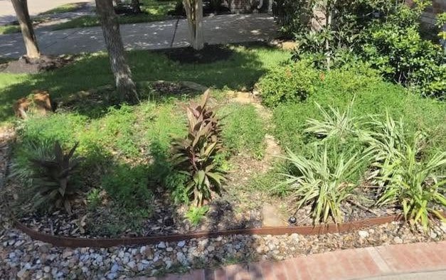 Overgrown flower bed before cleanup by Arvo Landscapes, Cypress TX